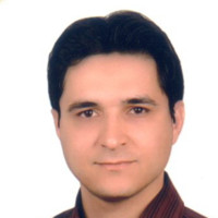 Seyyed Hamed Farhang