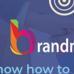 Brand Management