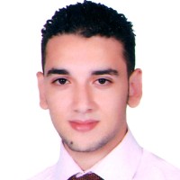 Mohammed Abo Elnaga