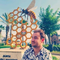 Fuat ARICILAR