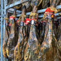 Arnau MAROBEN Jambon