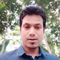 Anis Shimul