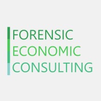 Forensic Economic Consulting
