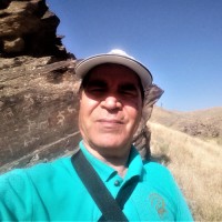 Mohamad Naserifard
