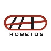 Hobetus Asesores de Negocio