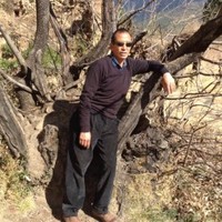 Tshechu Dorji