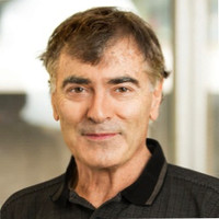 Ian Gillies