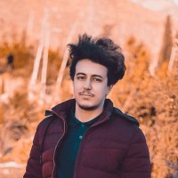 Mohammadreza Molaei