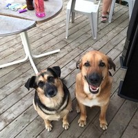 Jenna Klassen