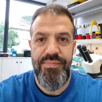 Raffaele Bellocco