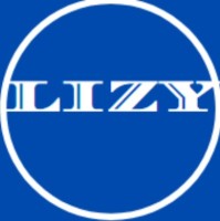 Lizyweb Website Development
