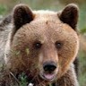 Алексей Смирнов