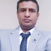 Munir Salem