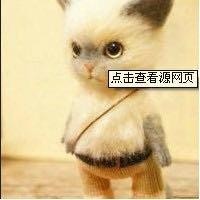 黄鸿彬