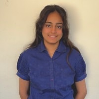 Honey Bagaria