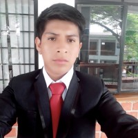 Anthony Robison Loayza Perez