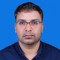 Nidheesh K V