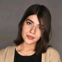 Elham Ghaedi