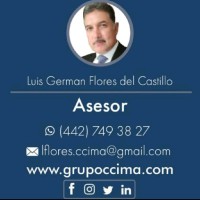 Luis Germán Flores García Del Castillo