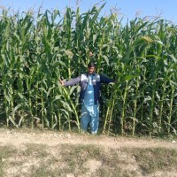 Abdul Wahid