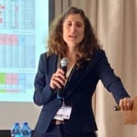 Adi Fattel