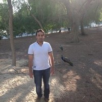Mohammad Hadi Saadat