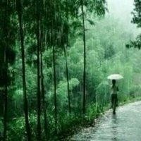 刘沂洁