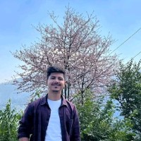 Vijay Joshi