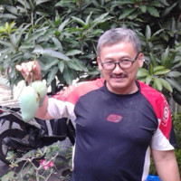 Erwien Komunar Pabo
