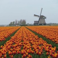Jacqueline Van Der Weide-Maasland