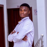 Abideen David Amodu