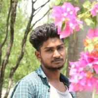 Ravi Chauhan