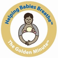 Helpingbabiesbreathe Program