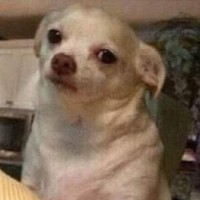 Wuttichai P Yanpanya