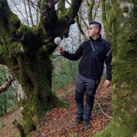 Adrián Martínez Hontecillas