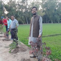 ABDUL REHMAN (A R)