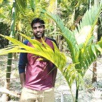 V Ramesh Babu