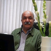 Fereydoon Soleymani