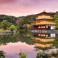 刘光柱