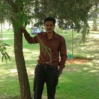 Vipin S V