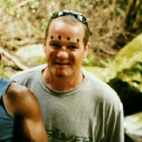 Roy Healy