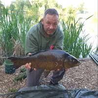Michael Frewin