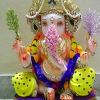 property guide D S sisodia