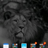 Srikanth D V A S
