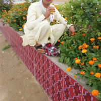 Lala Afghan