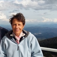 Silvia Fineschi