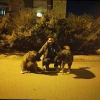 Amgad Atef