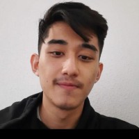 João Pedro Kanegae Ohonishi