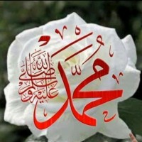 نور القرآن