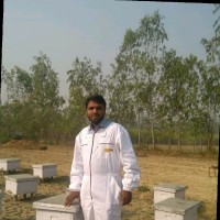 Nimit Singh